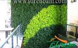 پوشش گیاهی دیوار سبز