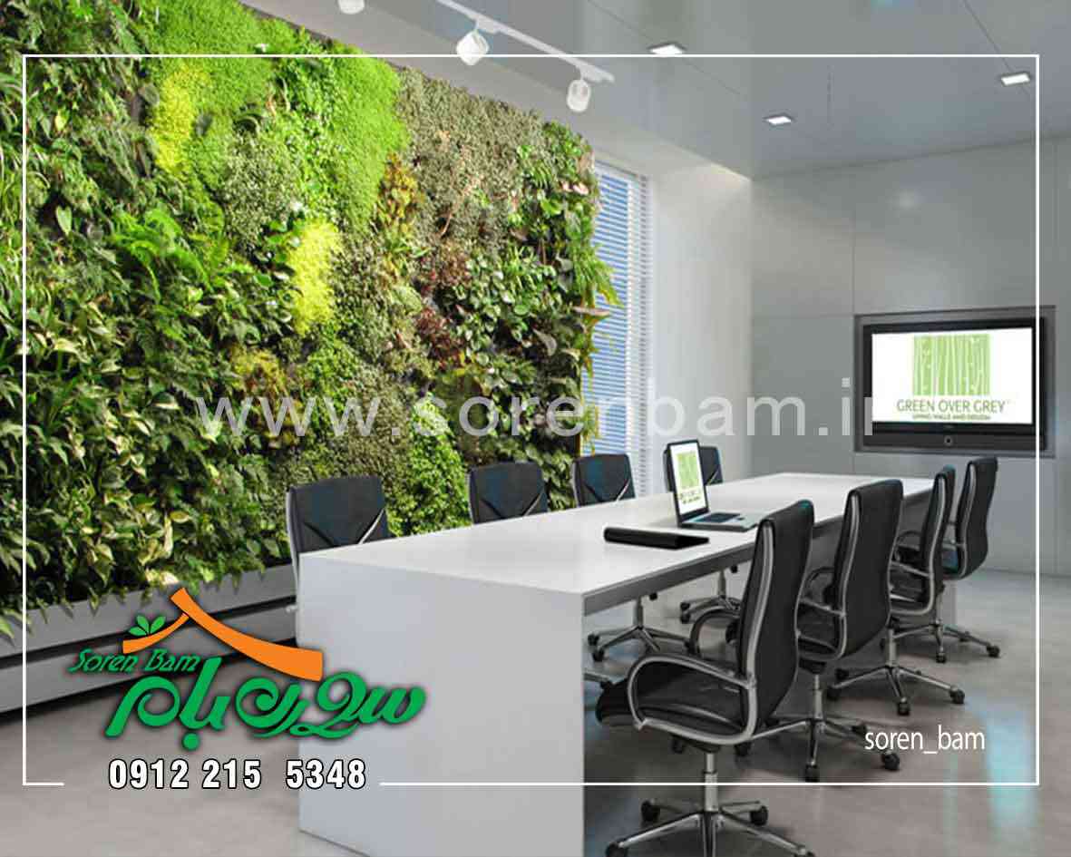 طراحی و اجرای دیوار سبز