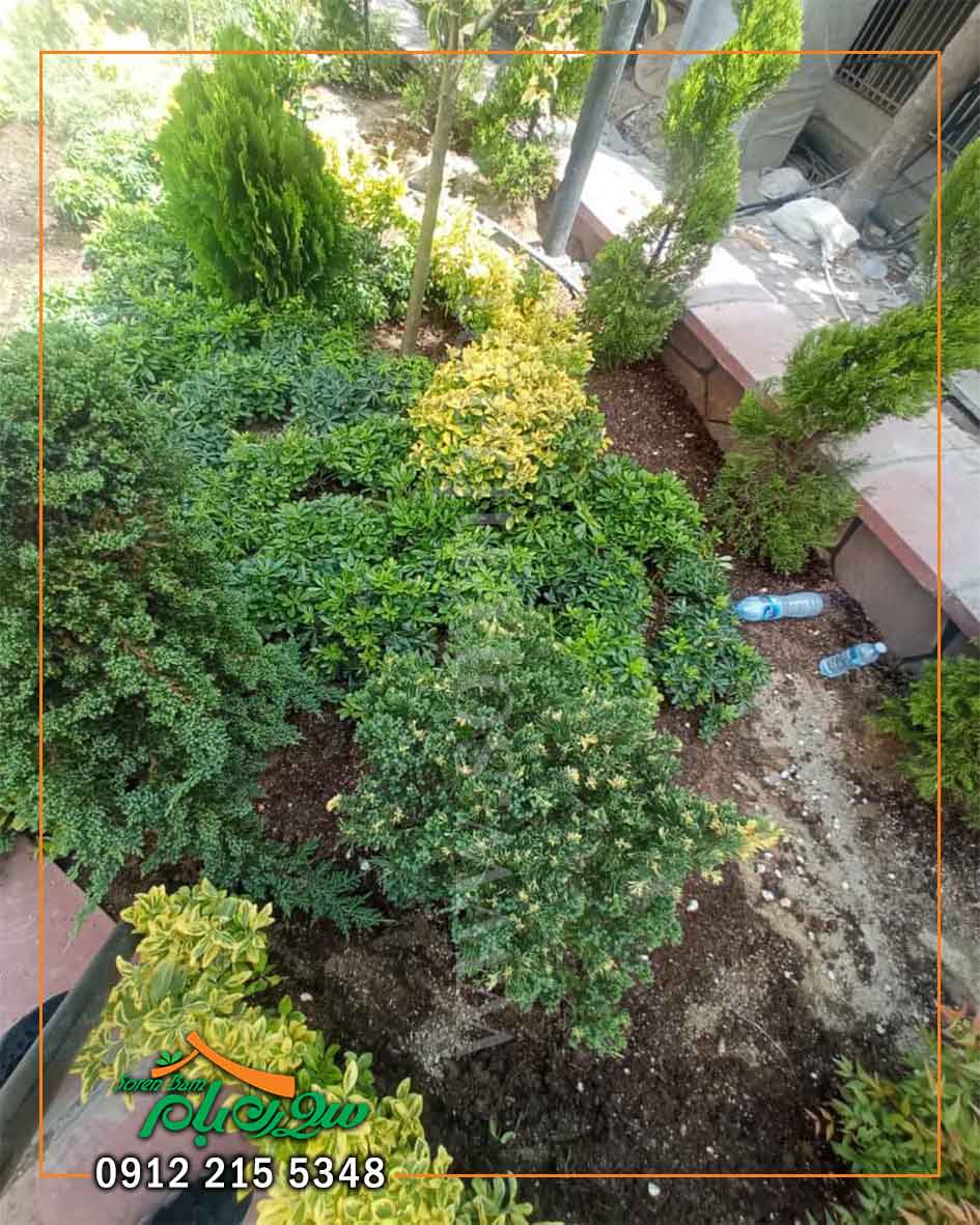 پروژه ی محوطه سازی تجریش