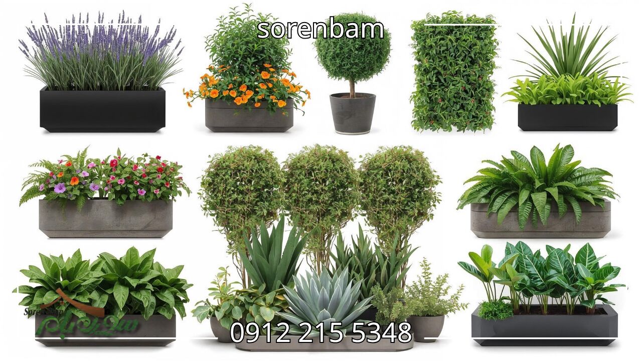 بهترین گیاهان برای فلاور باکس 