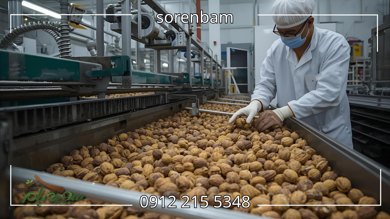 برداشت درخت گردو
