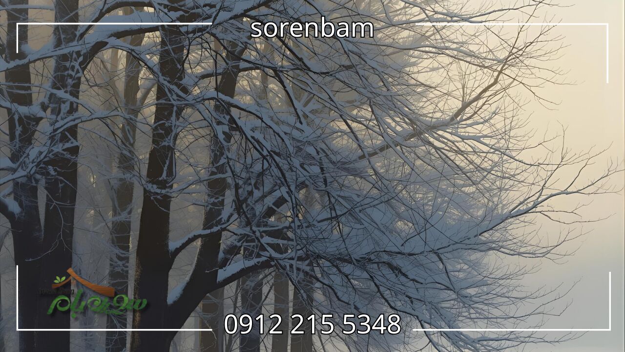 هرس درختان