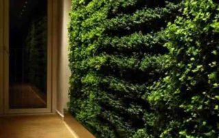 طراحی و اجرای دیوار سبز شرکت سورن بام