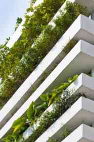 نما سازی سبزساخت دیوار سبز|مزایای دیوار سبز|آبیاری دیوار سبز