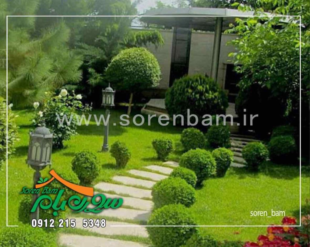 پوشش گیاهی محوطه سازی ویلا
