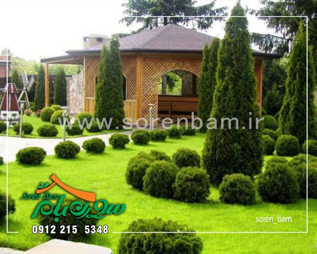 پوشش گیاهی در محوطه سازی ویلا