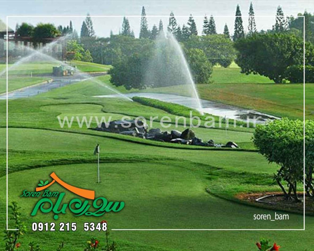آبیاری قطره ای درخت