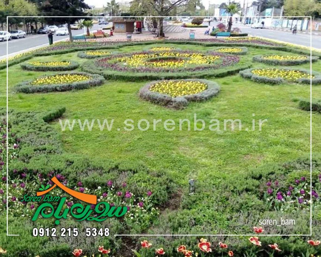 استفاده از سموم در نگهداری فضای سبز