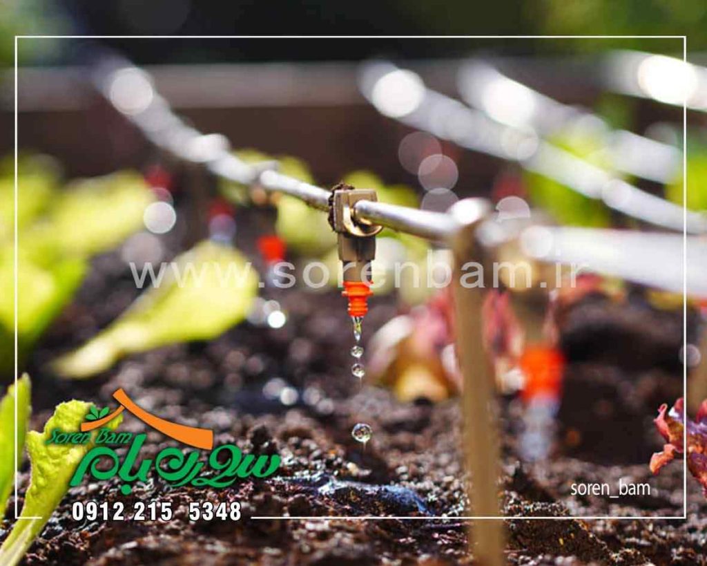 آبیاری قطره ای