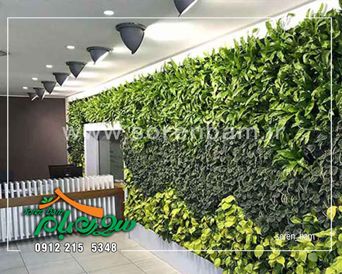ساخت دیوار سبز مصنوعی 3