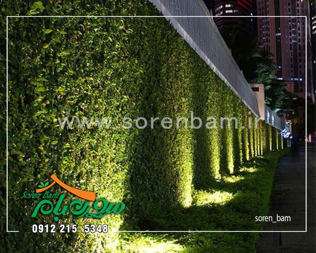 نورپردازی دیوار سبز