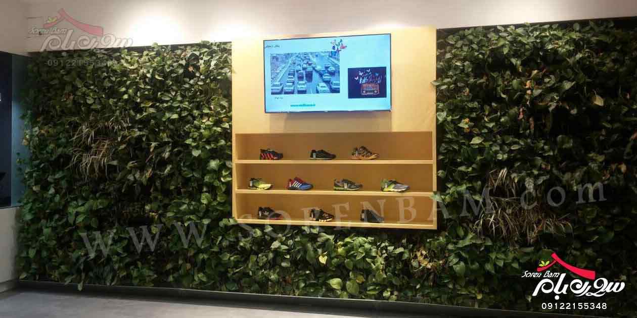 دیوارسبز هوشمند|اجرای دیوار سبز|پوشش سبز| باغ عمودی | green wall