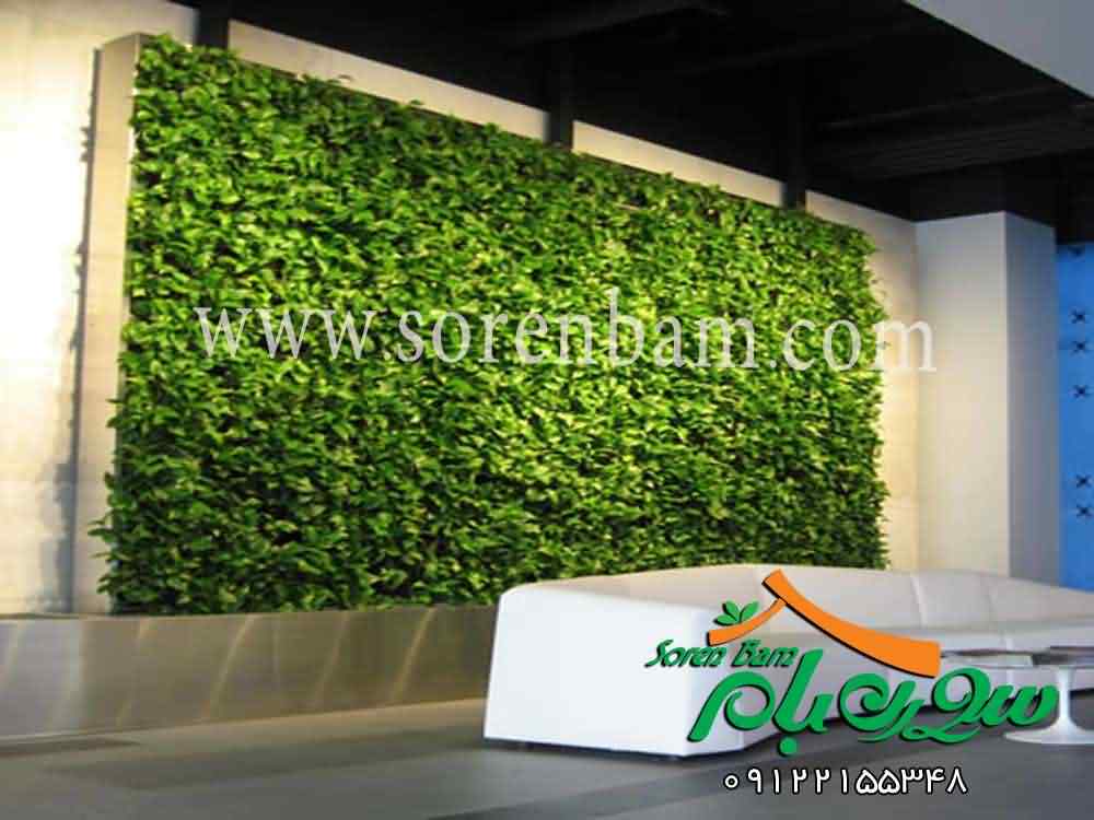 اجرای دیوار سبز تخصصی