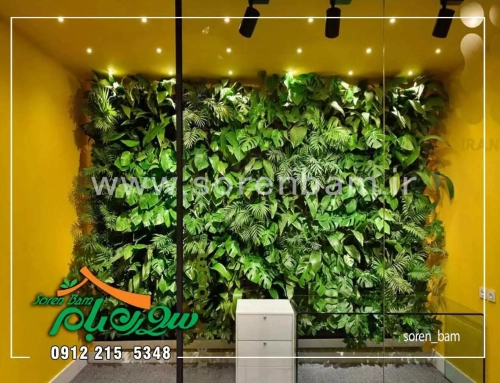 اجرای دیوار سبز (گرین وال) انواع دیوار سبز + مزایا و معایب