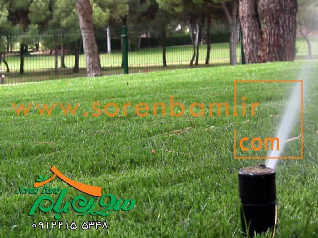 طراحی و اجرای کاشت چمن