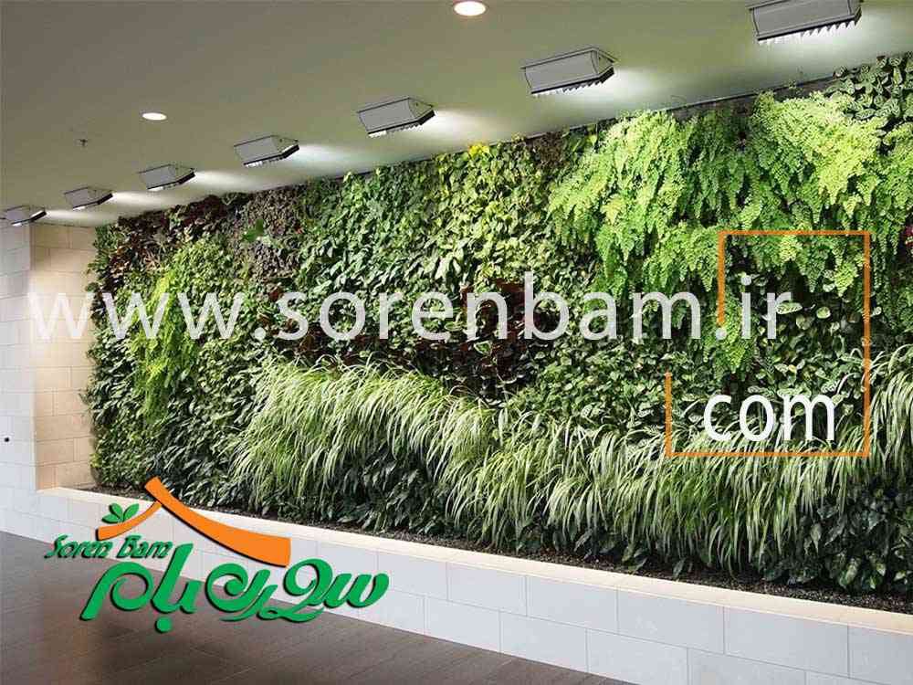 دیوار سبز طبیعی و مصنوعی