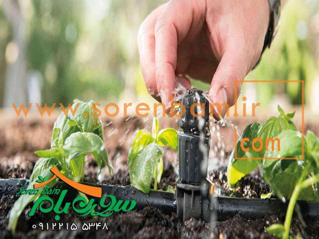 آبیاری قطره ای فضای سبز