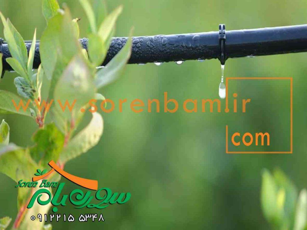 آبیاری قطره ای