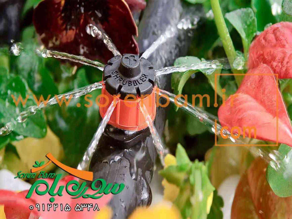 اجرای آبیاری قطره ای در باغ