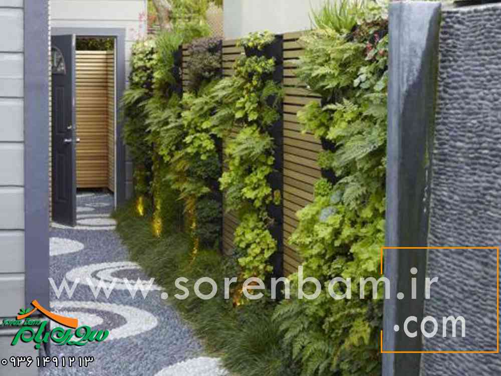 گیاهان مناسب برای دیوار سبز
