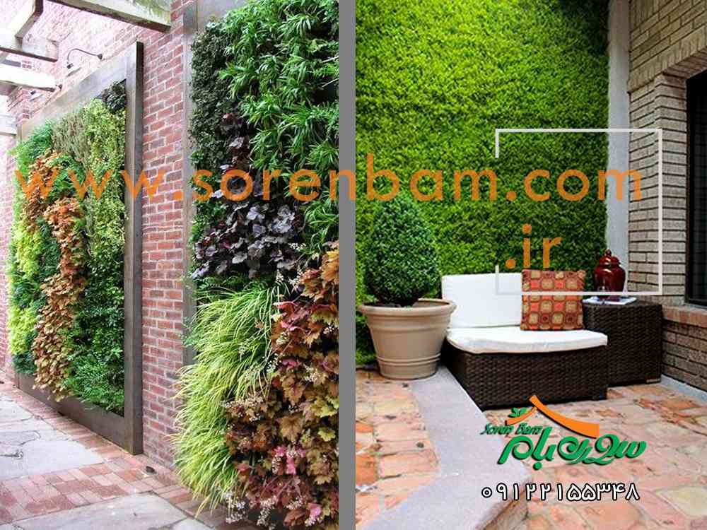 طراحی و نگهداری دیوار سبز