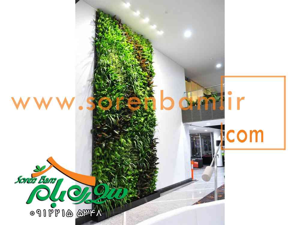 طراحی دیوار سبز ، نمای سبز