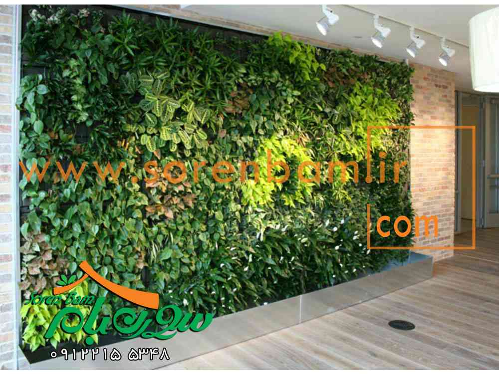 ساخت دیوار سبز طبیعی و مصنوعی