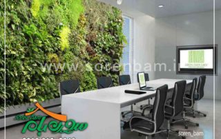 طراحی و ساخت دیوار سبز طبیعی