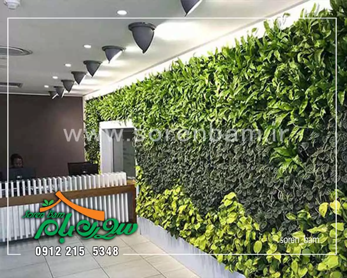 هزینه و ساخت دیوار سبز