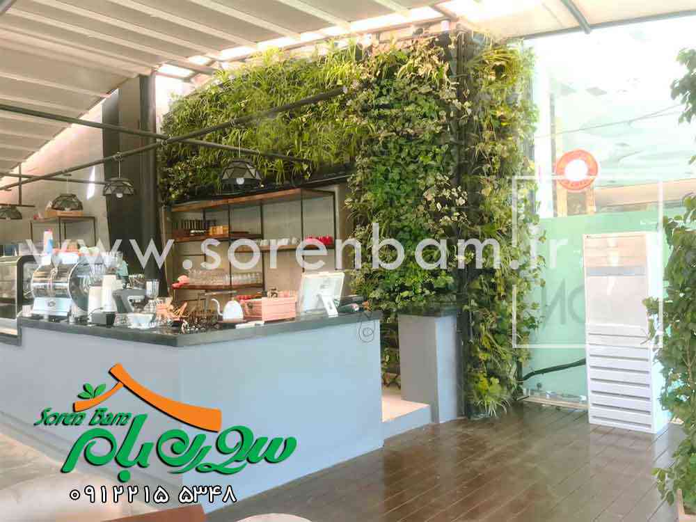 ساخت دیوار سبز و پوشش گیاهی