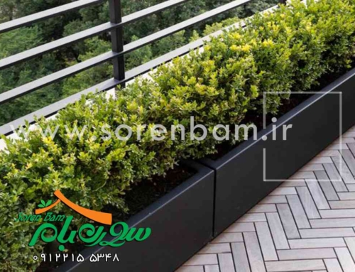 فلاور باکس برای تراس سبز