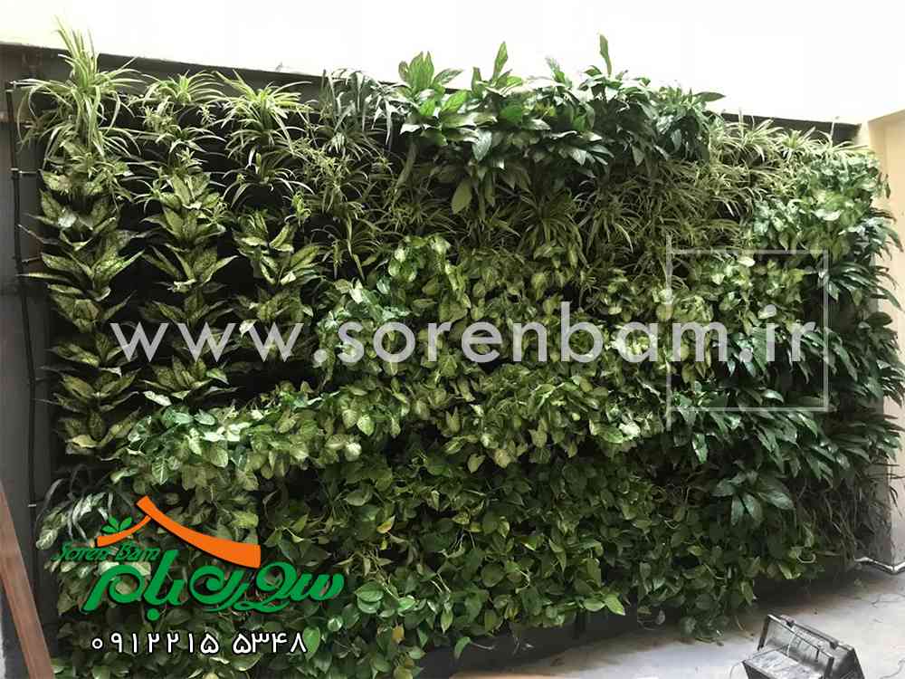 شرکت سورن بام|دیوار سبز در روف گاردن