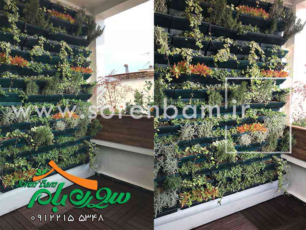 تراس سبز