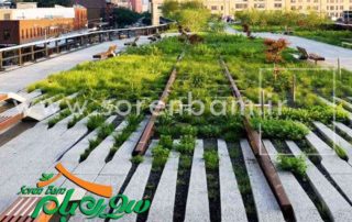 طراحی و کاشت گیاهان فضای سبز