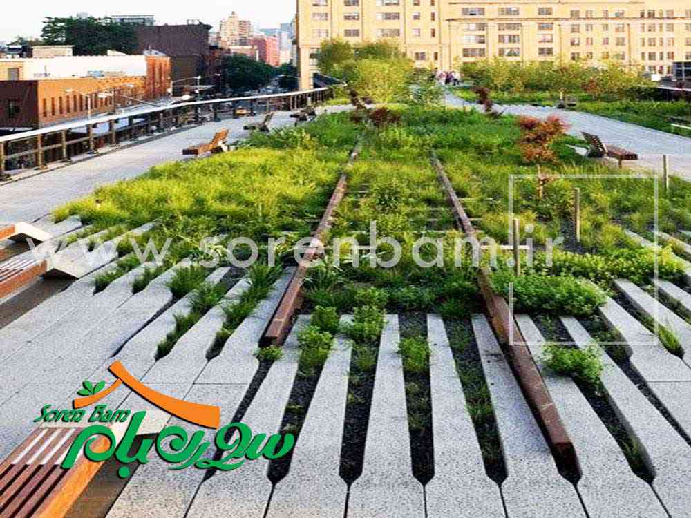 طراحی و کاشت گیاهان فضای سبز