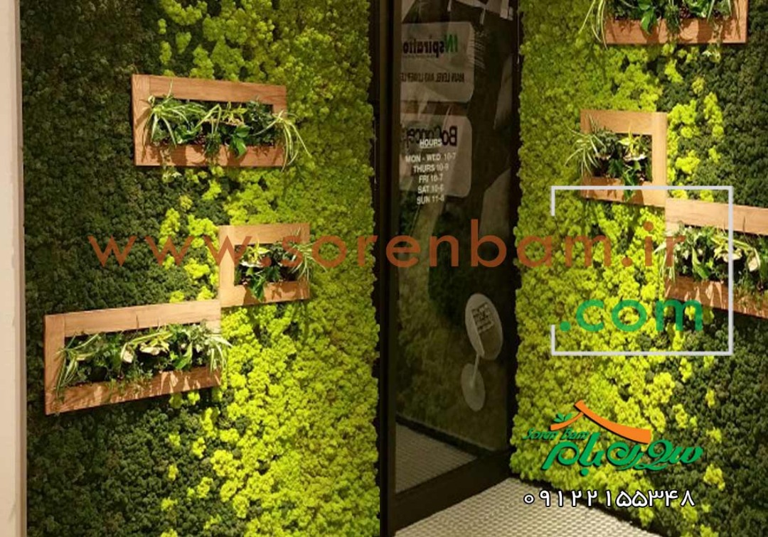 طراحی دیوار سبز مصنوعی سورن بام