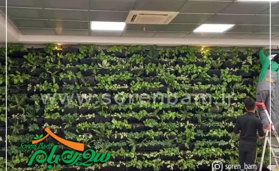 دیوار سبز صنایع غذایی کوروش