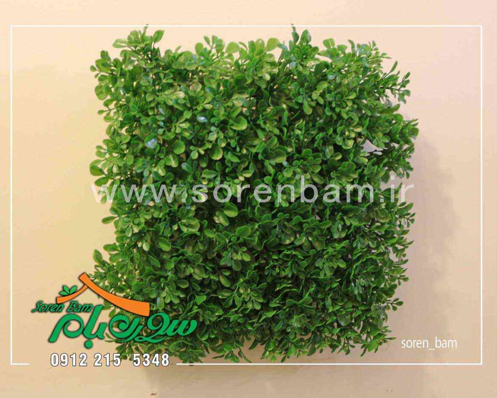 پنل دیوار سبز 25*25