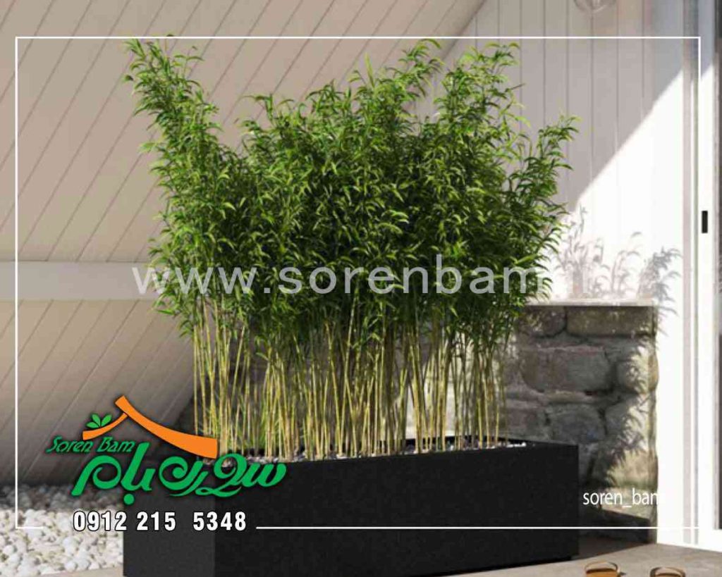 flowr box
