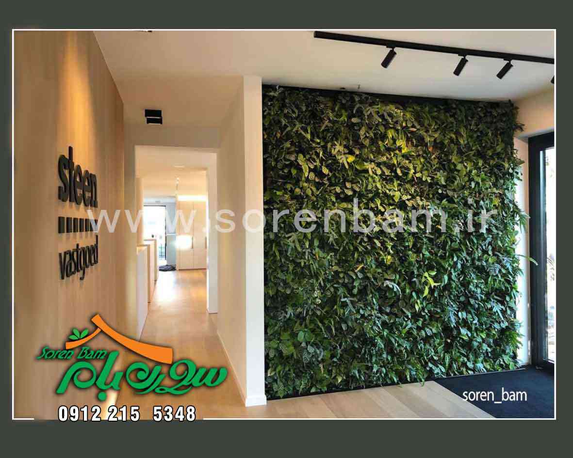 بهترین گیاهان مناسب دیوار سبز و بام سبز