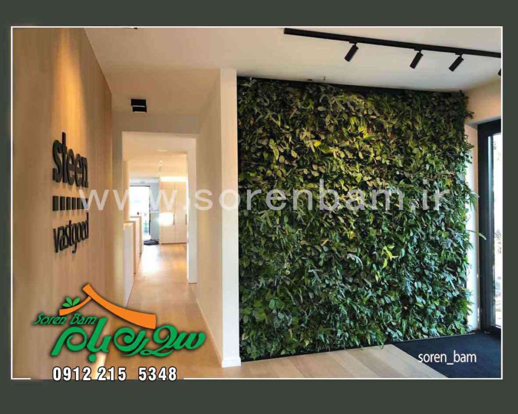 دیوار سبز تخصصی