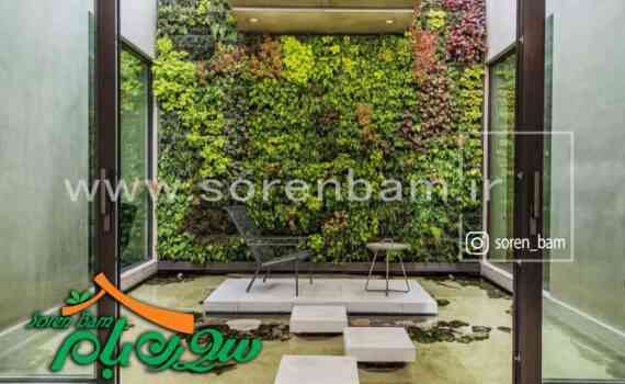 نگهداری گیاهان دیوار سبز