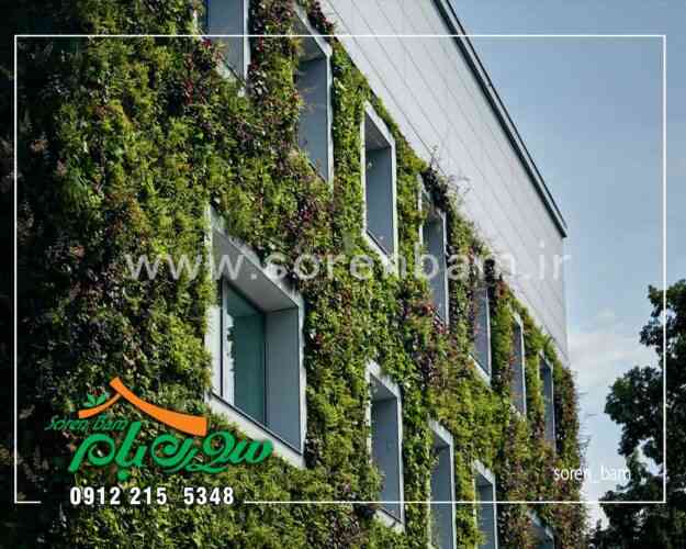 اجرای دیوار سبز طبیعی در نمای ساختمان