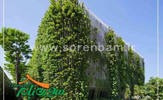 دیوار سبز نمای ساختمان