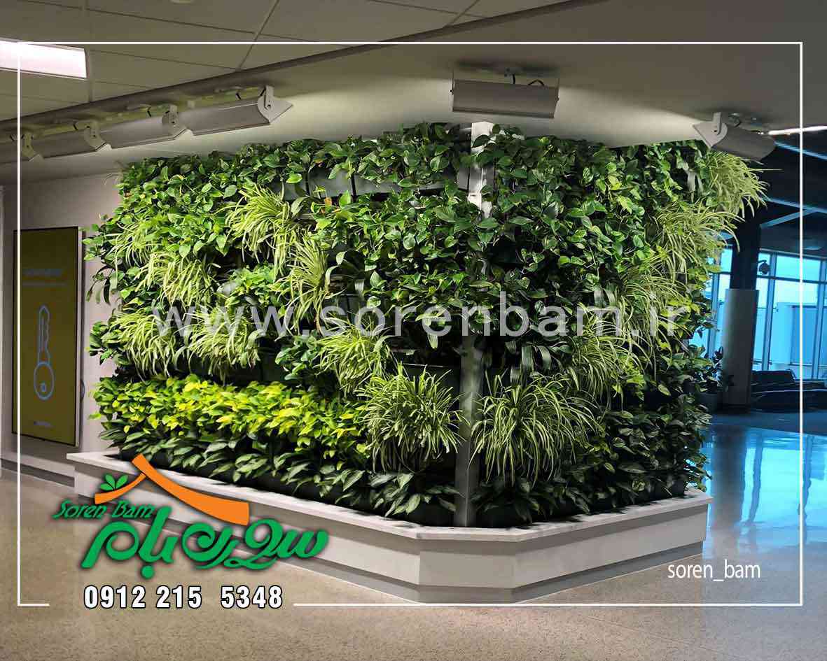 اجرای دیوار سبز در فضای داخلی ساختمان