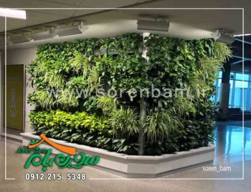 آبنما سیمانی سعادت آباد