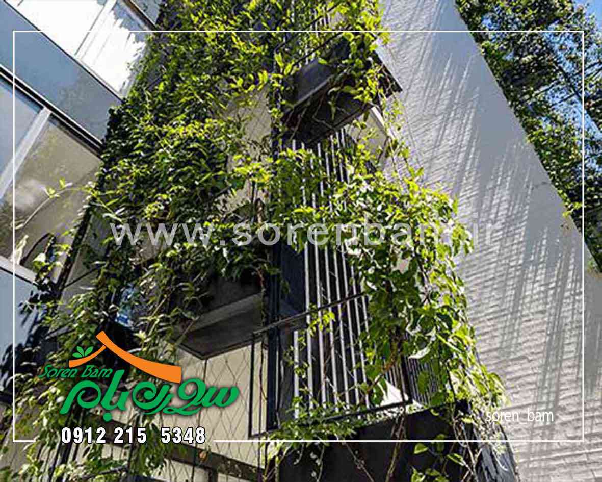 اجرای دیوار سبز طبیعی و فلاورباکس نمای ساختمان