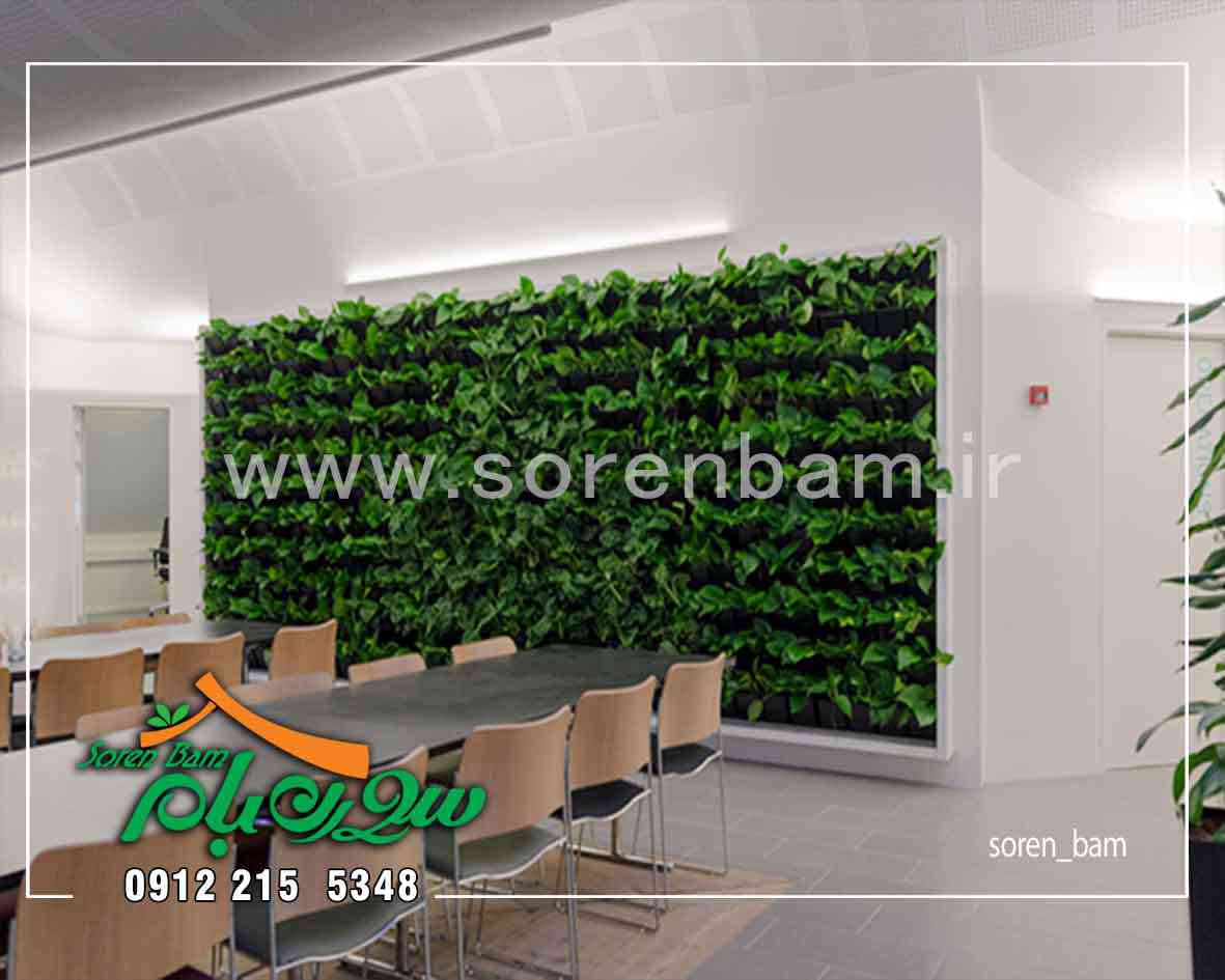 اجرای دیوار سبز طبیعی در فضای داخلی شرکت