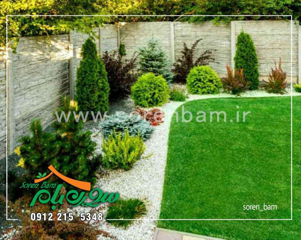 اجرای چمن طبیعی
