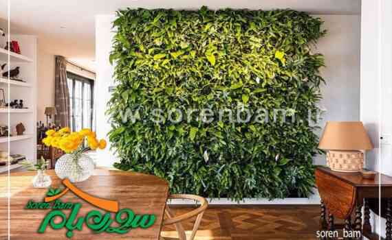 طراحی و اجرای دیوار سبز شرکت سورن بام